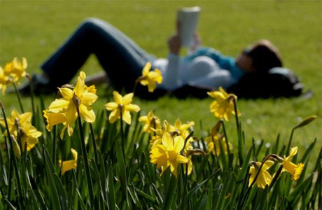 daffodils-and-girl-reading